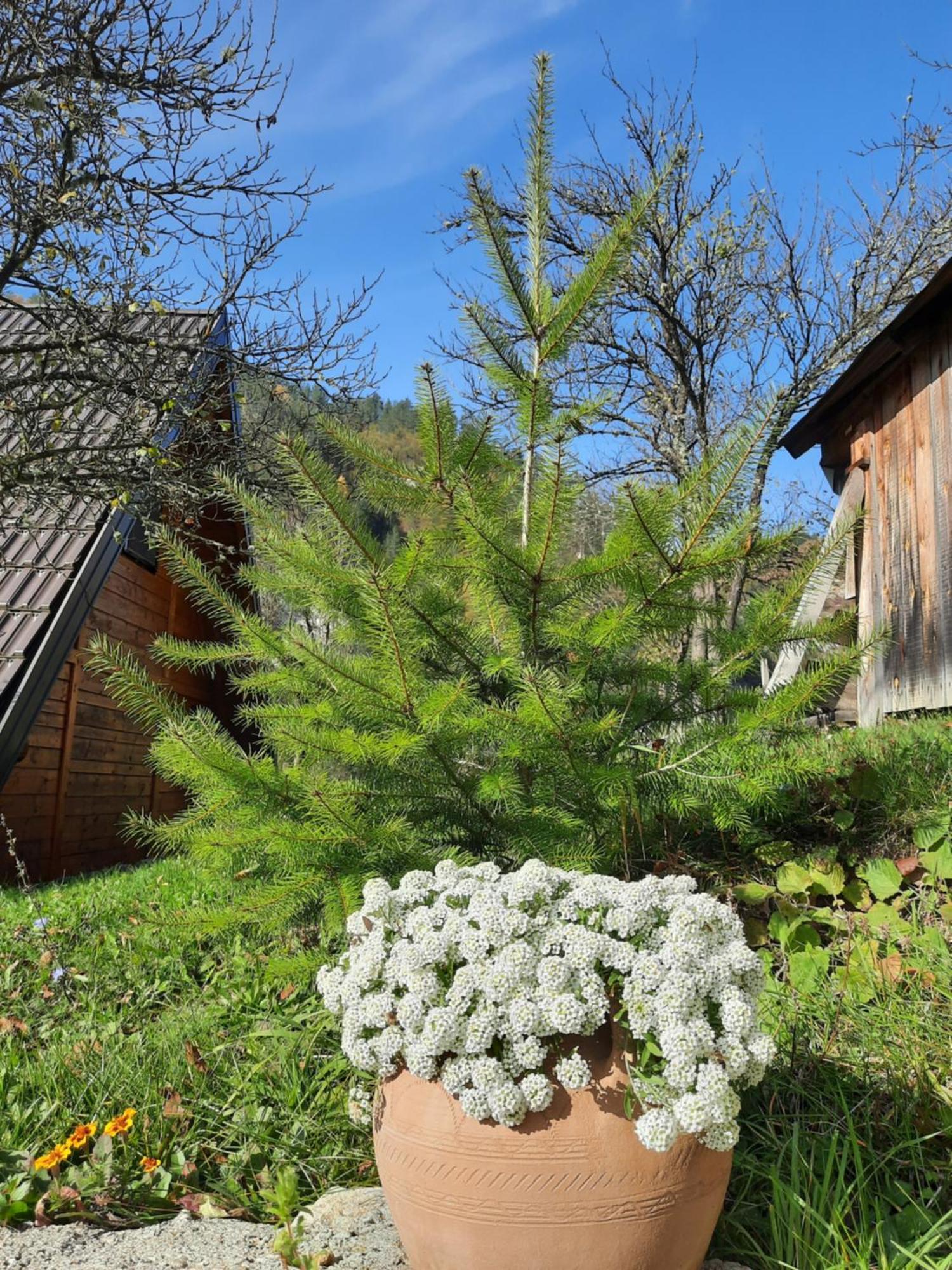 Vikendica Neven Villa Zaovine Bagian luar foto