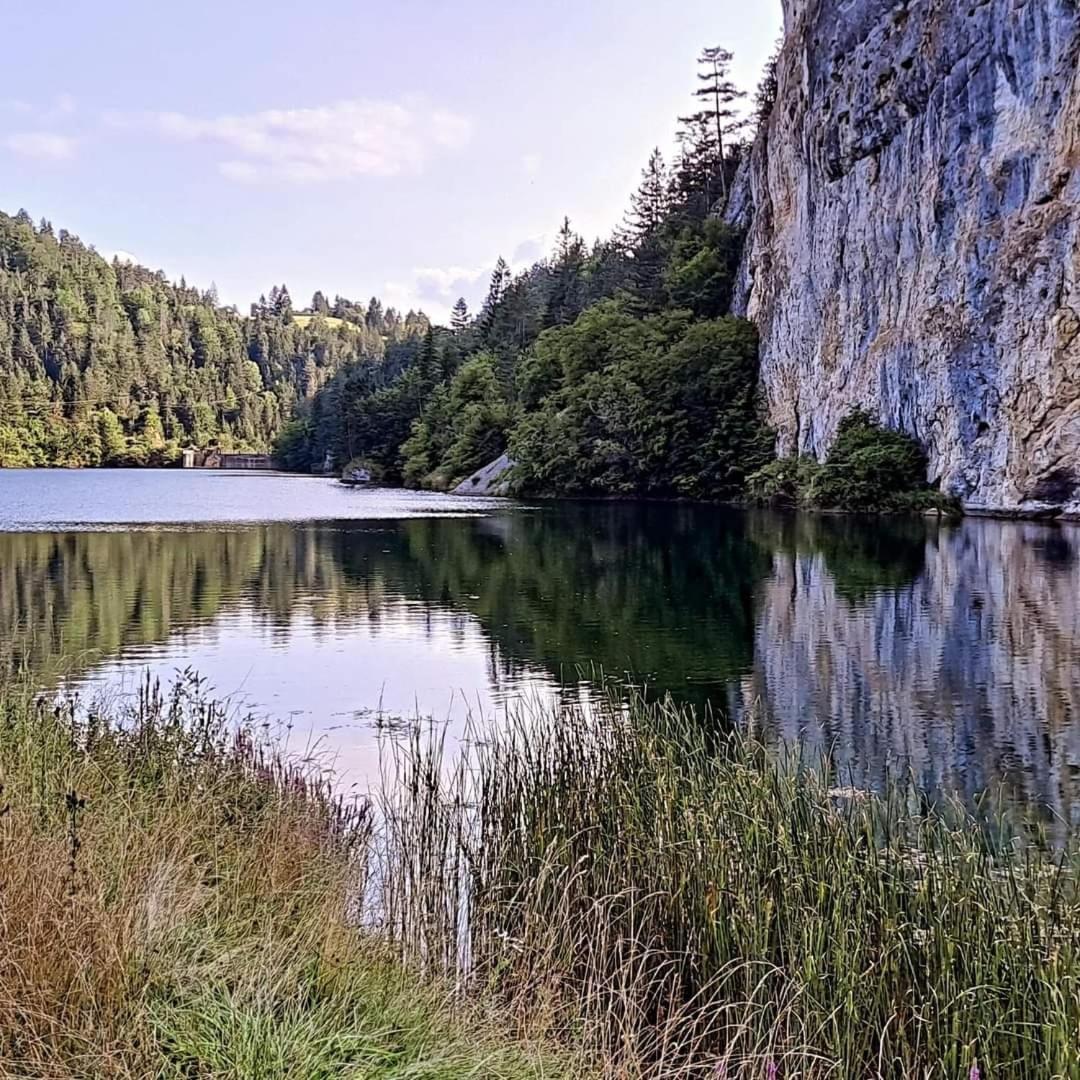 Vikendica Neven Villa Zaovine Bagian luar foto